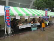 雨の中の展示テント